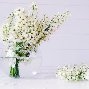 flores blancas para bodas